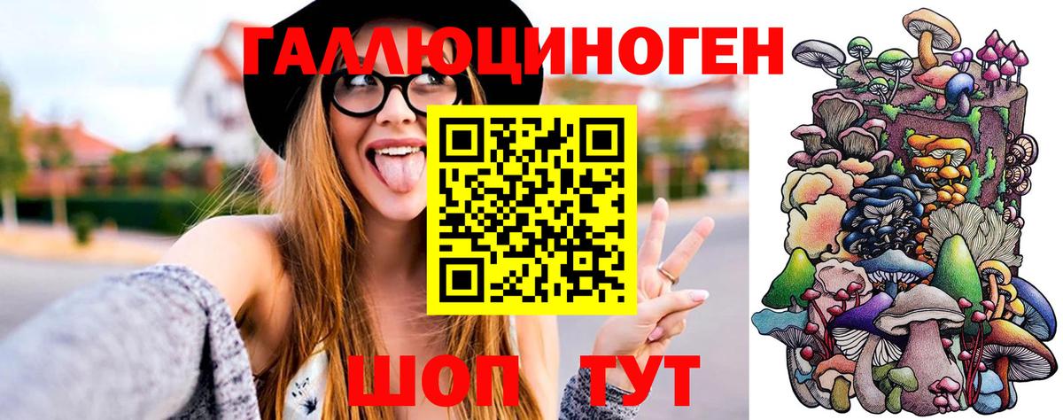 Гусиноозёрск  Псилоцибиновые грибы Magic Shrooms  Вход с VPN 