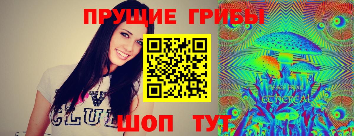 Галлюциногенные грибы мицелий Гусиноозёрск